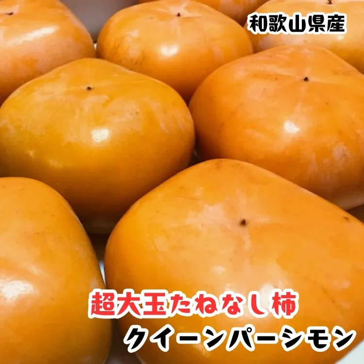 ［柿のふるさと］とっても大きいサイズのたねなし柿 クイーンパーシモン 約4kg 4L～7Lサイズ 青秀以上 ［MS153］