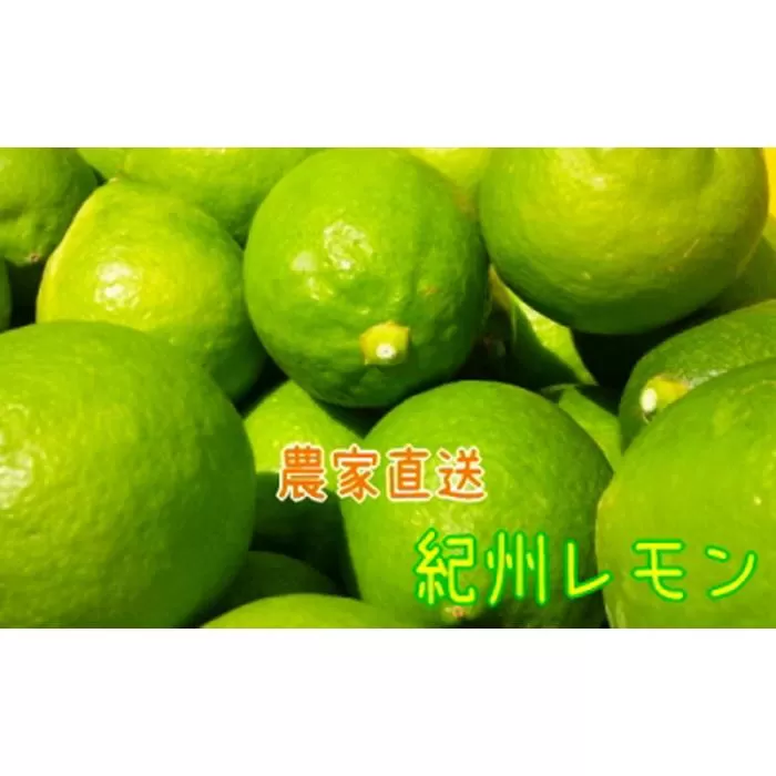 国産 農家直送 紀州レモン 約3kg サイズ混合 ［MS122］