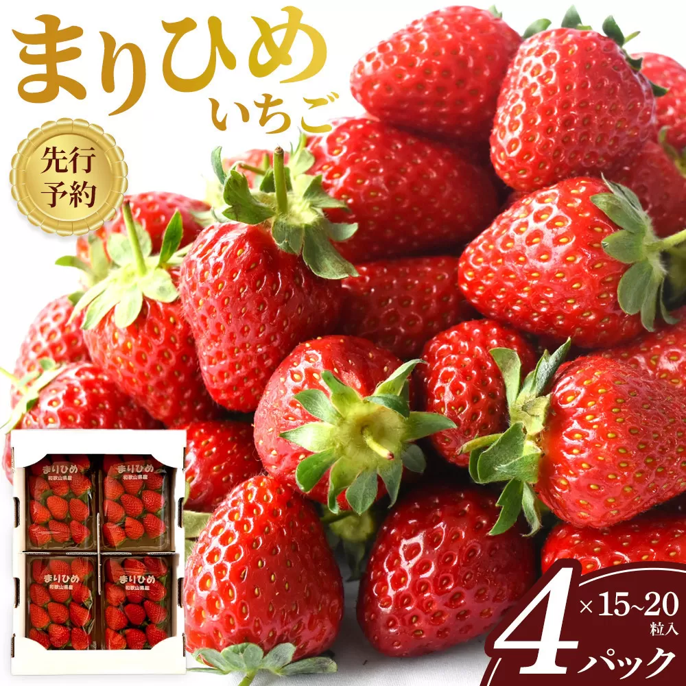 先行予約 まりひめいちご 15〜20粒入×4パック 食べやすいひと口サイズ こだわり 農家厳選 ［KG32］