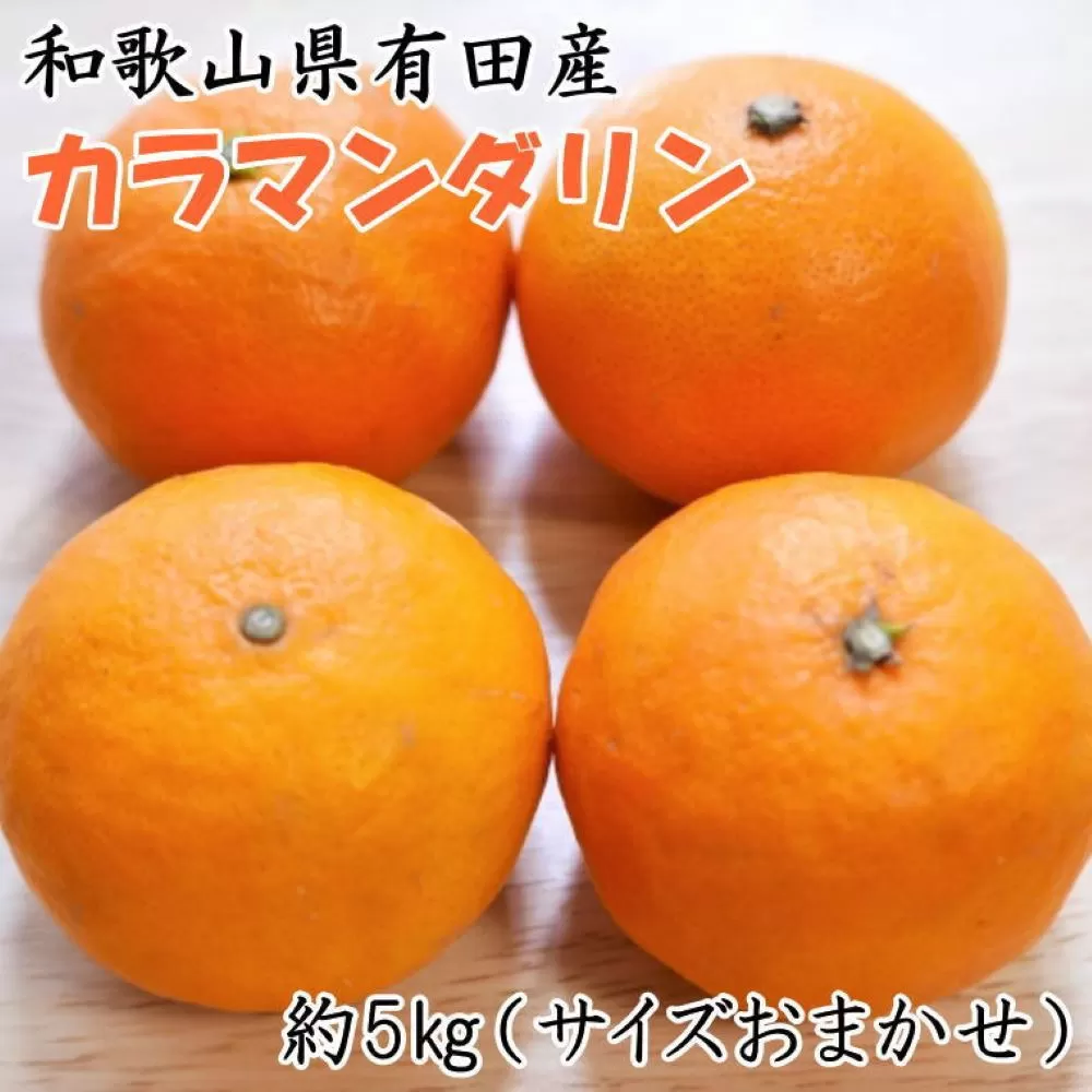 【春みかん】和歌山有田産 カラマンダリン 約5kg サイズおまかせ ★2026年４月より順次発送 ［TM209］
