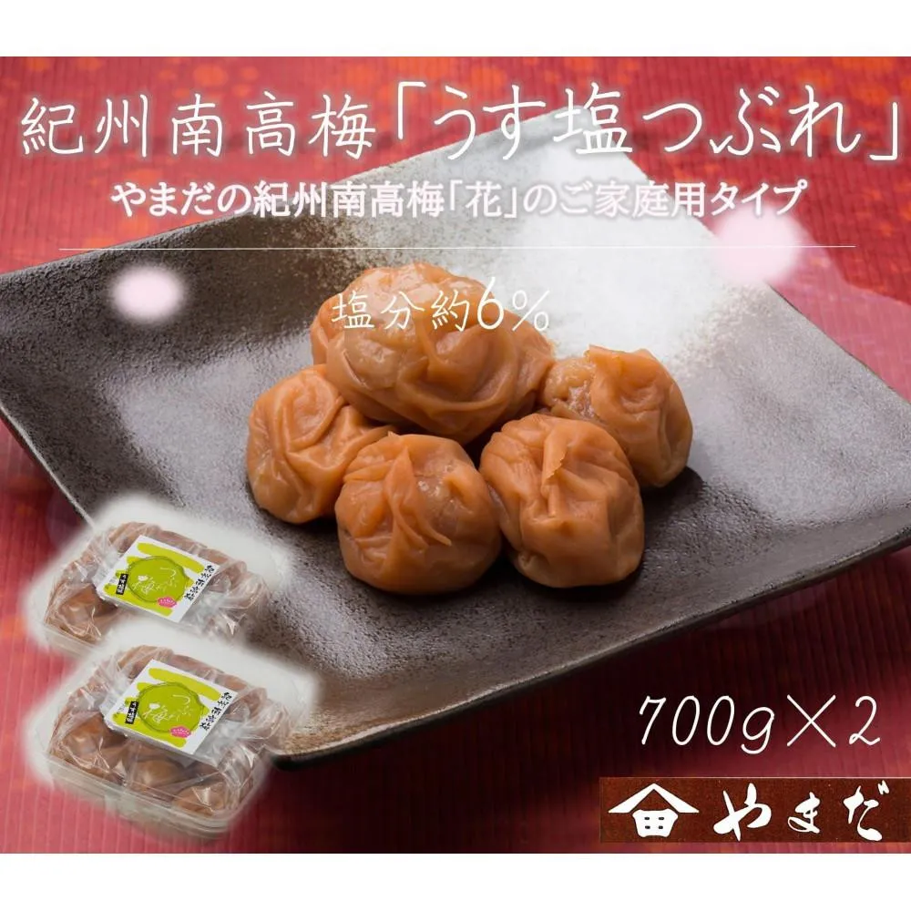 【定期便・2ヵ月毎 全5回】ご家庭用 紀州南高梅 うす塩 つぶれ 700g×2 ［YM15w］