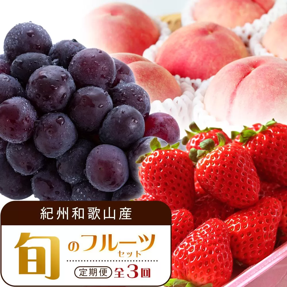 【2・7・9月 全3回】紀州和歌山産旬のフルーツセット（いちご・桃・ピオーネ）【UT95】