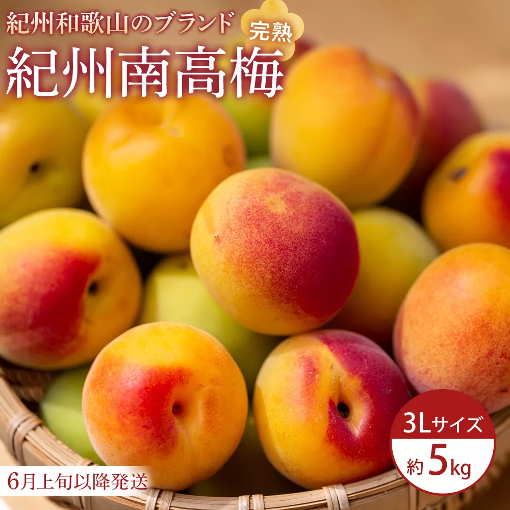【2026年6月上旬以降発送】紀州南高梅(完熟梅) 5kg〈大粒/3Lサイズ〉