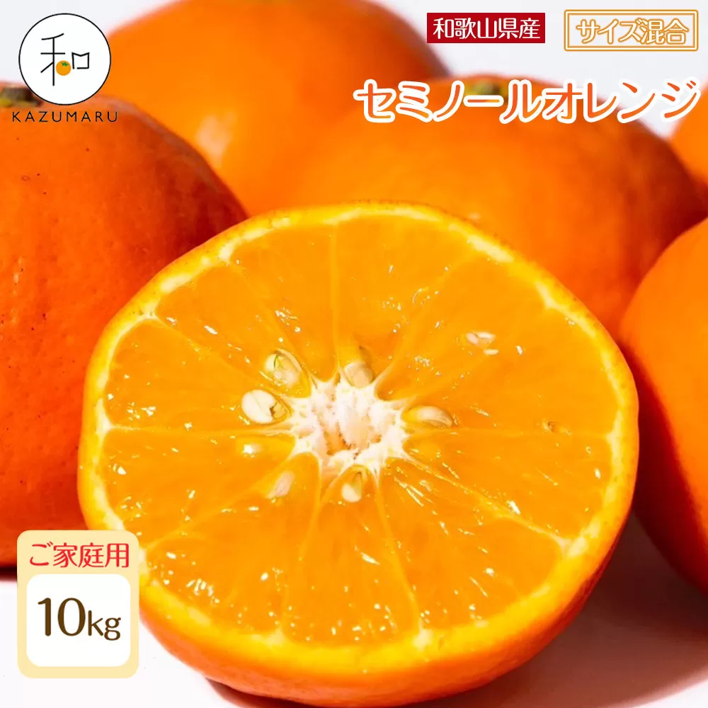 家庭用 森本農園の手選別 セミノールオレンジ 10kg 和歌山県産 サイズ混合 ［北海道・沖縄・離島配送不可］［RN37］［2026年4月中旬から順次発送］