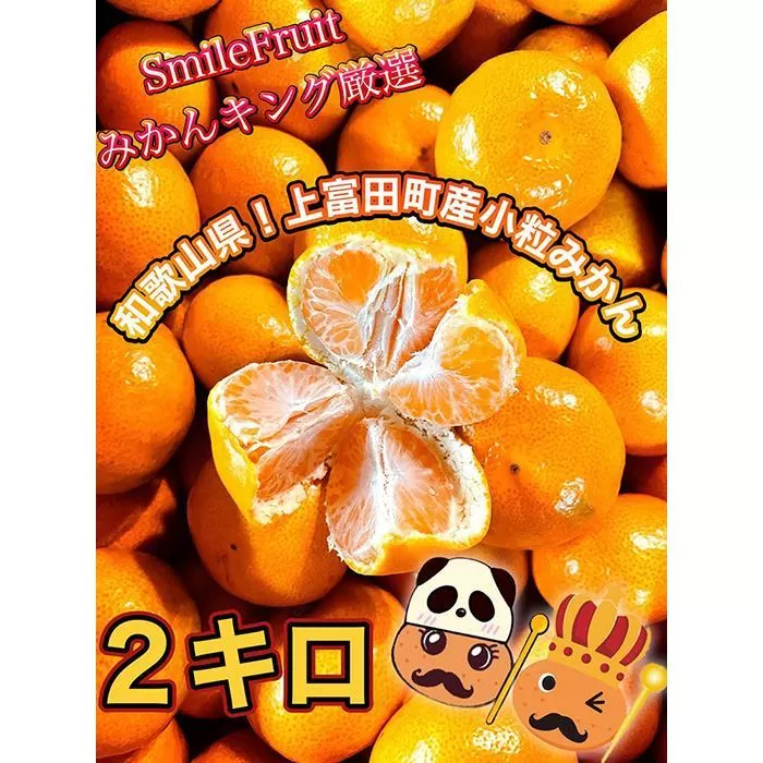 【先行予約】小粒みかん2Kg　高糖度！みかんの里！【SmileFruitみかんキング厳選】2025年10月下旬以降順次発送