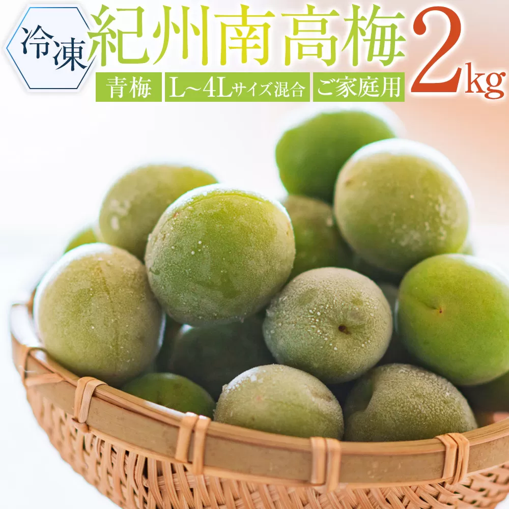 冷凍 紀州南高梅 青梅   約2kg   L〜4Lサイズ混合 ご家庭用
