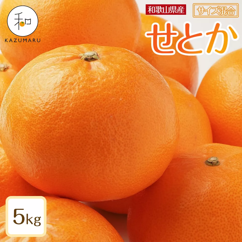 森本農園の手選別 せとか 約5kg 和歌山県産 サイズ混合 ［北海道・沖縄・離島配送不可］［2026年2月上旬から順次発送予定］［RN131］