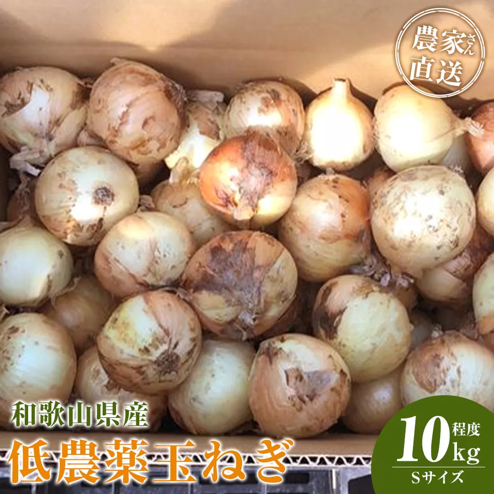 ［2026年発送分・先行予約］農家さん直送 低農薬玉ねぎ Sサイズ 10kg程度［4月中旬〜7月中旬頃発送予定］［KF18］