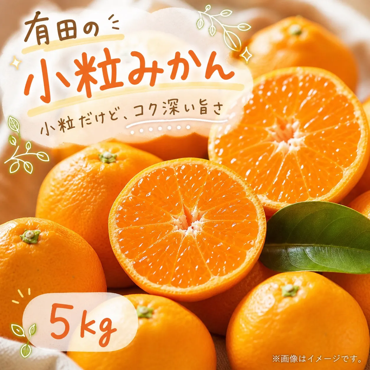有田の小粒みかん 約5kg (S～3Sサイズ混合)［2026年11月下旬以降発送］［先行予約］［UT134］