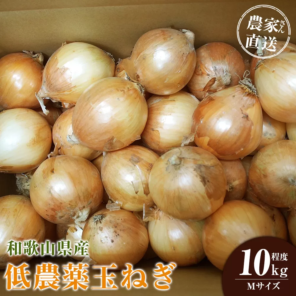 ［2026年発送分・先行予約］農家さん直送 低農薬玉ねぎ Mサイズ 10kg程度［4月中旬〜7月中旬頃発送予定］［KF17］