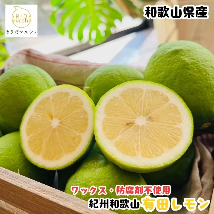 ［先行予約］［国産］紀州和歌山 有田レモン 3kg［MS68］