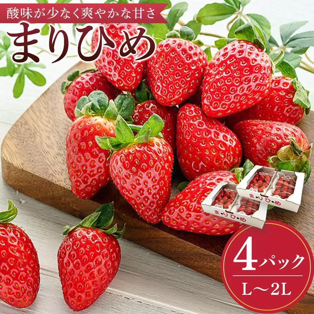 まりひめイチゴ L〜２L 12粒〜15粒×4パック［2026年1月中旬から発送］［先行販売］［KG8］