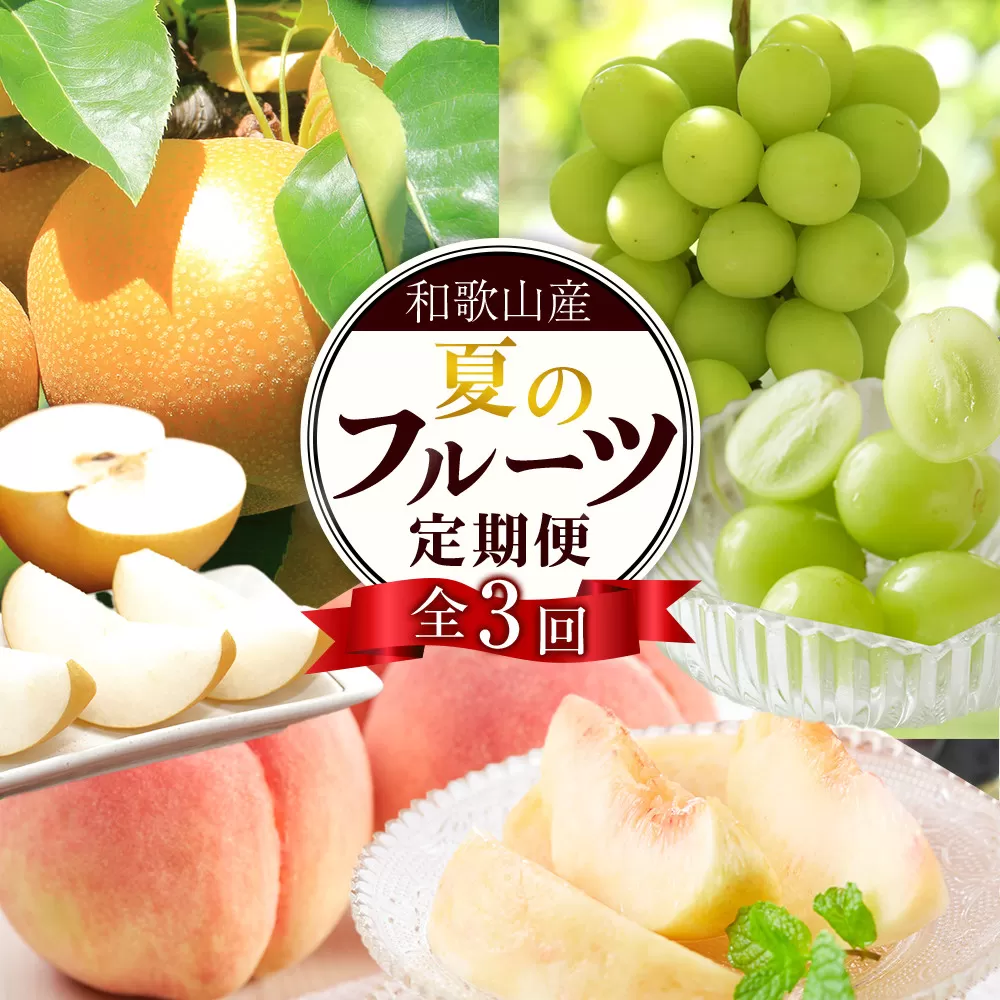 定期便全3回 【7月・8月・9月発送】 和歌山の夏のフルーツをお届け（桃・梨・シャインマスカット） ［TM224］