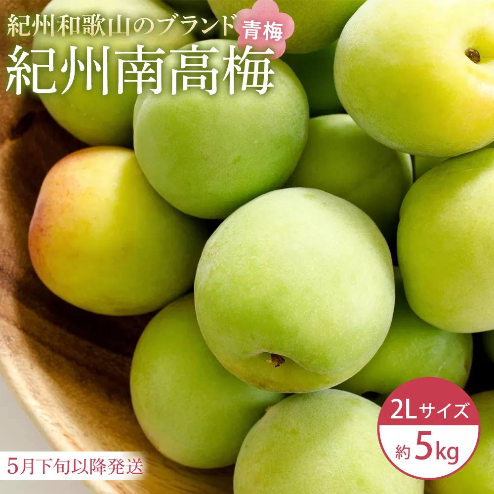 【2026年5月下旬以降発送】紀州南高梅(青梅) 5kg〈2Lサイズ〉