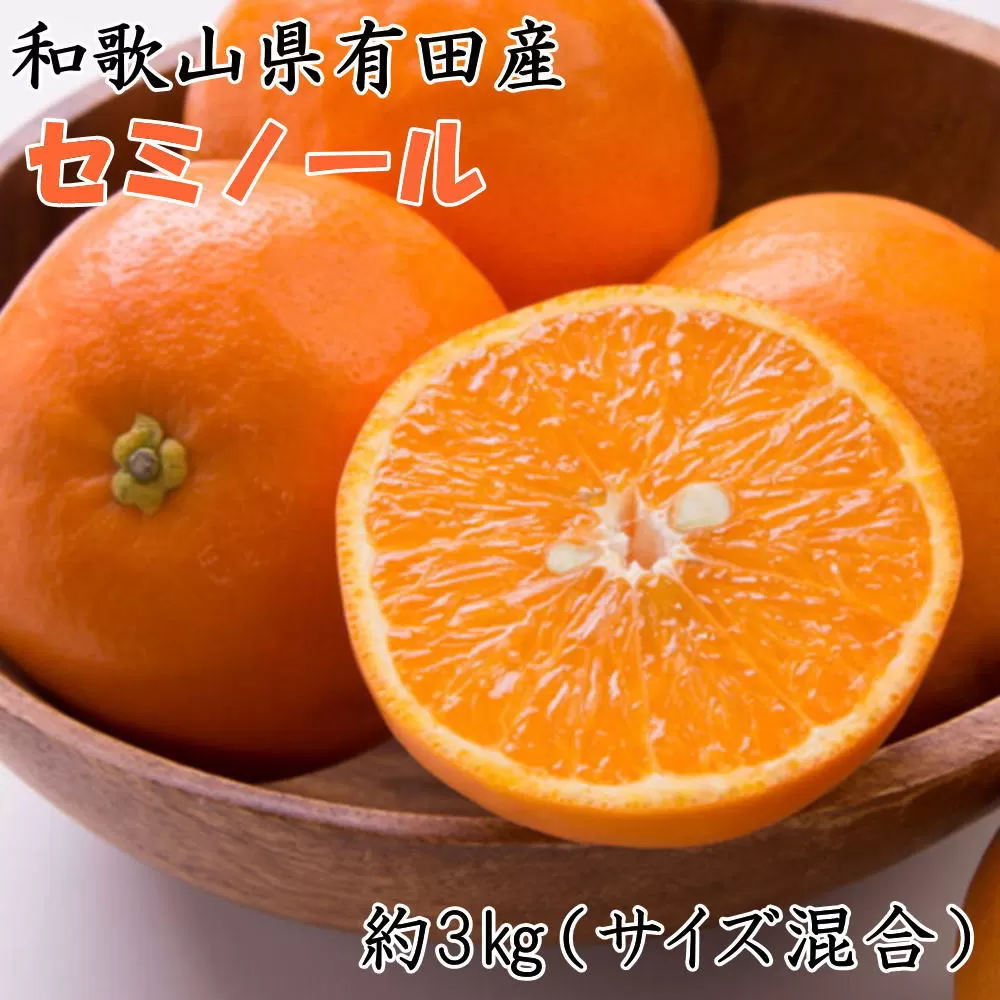 ［濃厚オレンジ］和歌山有田産セミノール約3kg(サイズ混合 秀品)★2026年4月中旬頃より順次発送［TM212］