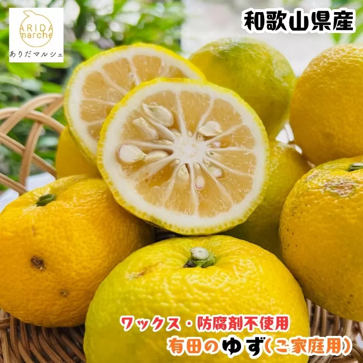 ［先行予約］［国産］紀州和歌山のご家庭用訳あり 柚子（ゆず）2kg ［MS138］