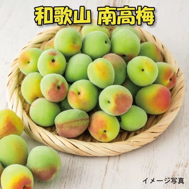 【梅干・梅酒用】（LまたはM－2Kg）熟南高梅＜2025年6月上旬～7月7日発送予定＞フルーツ 果物 くだもの 食品 人気 おすすめ 送料無料【ART07】