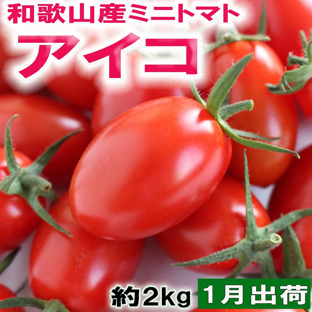 ［2027年1月出荷分］和歌山産ミニトマト「アイコトマト」約2kg（M・Lサイズおまかせ）［TM260］