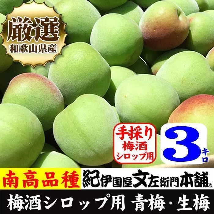 南高梅【緑】3kg 大サイズ  梅酒用 フレッシュ青梅（生梅）／紀伊国屋文左衛門本舗
