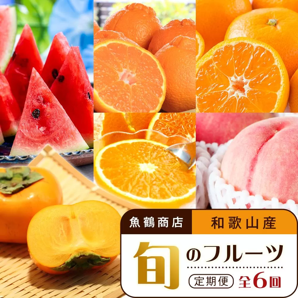 【2・4・6・8・10・12月 偶数月発送 全6回】和歌山産 旬のフルーツ お楽しみ 定期便 【魚鶴商店】【UT113】