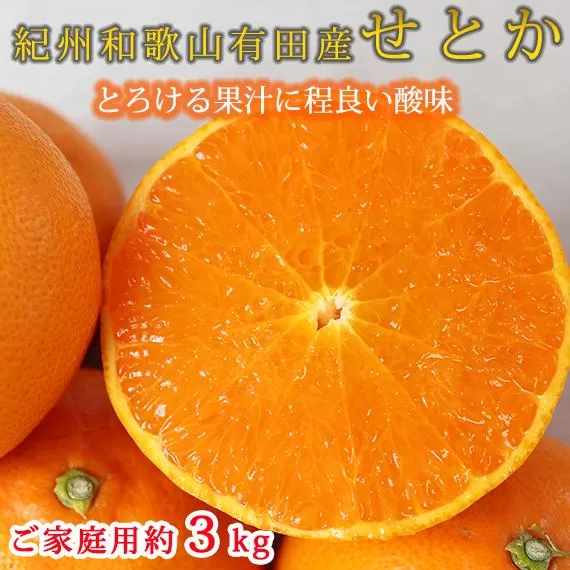 紀州有田産せとか 約3kg ［ご家庭用］とろける食感！ジューシー柑橘［2026年2月下旬以降発送］［先行予約］［UT133］