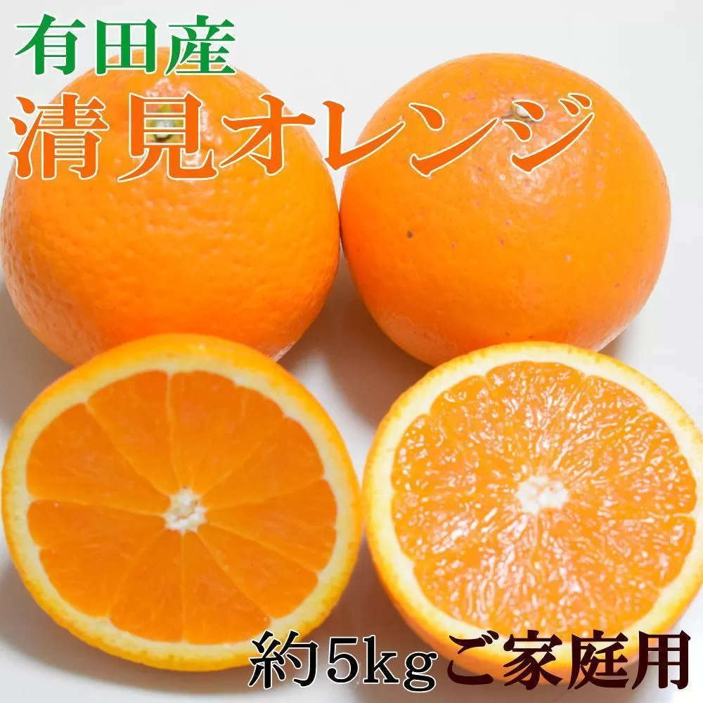 ［濃厚］有田産清見オレンジ約5kg（サイズおまかせ・ご家庭用）★2026年2月下旬頃より順次発送［TM151］