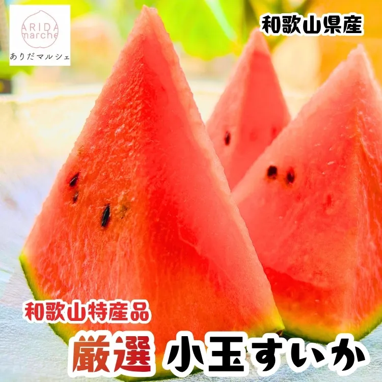 ［先行予約 2027年6月発送］厳選 小玉すいか Mサイズ／2玉入り［農家直送］［先行予約］［和歌山県産］［MS127］