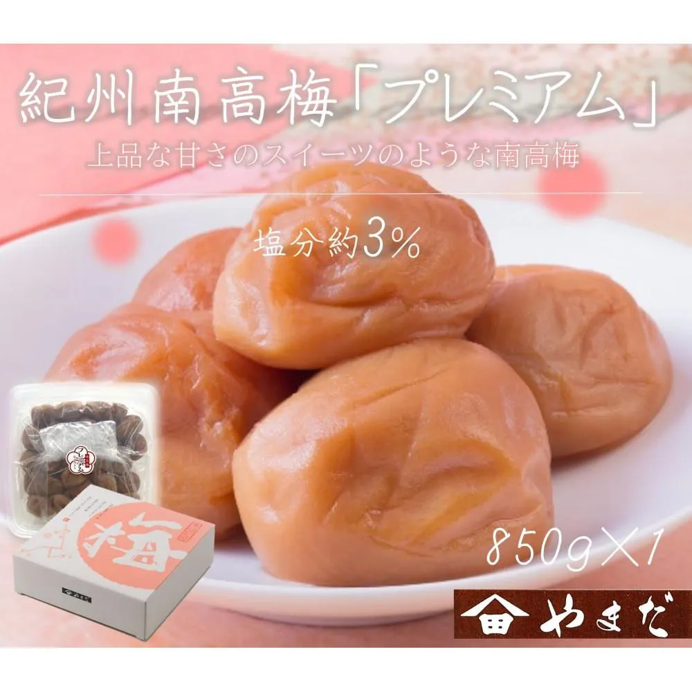 【定期便・3ヵ月毎 全3回】紀州南高梅 プレミアム 850g ［YM12w］