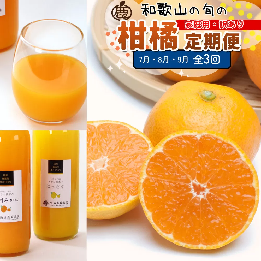 家庭用 柑橘定期便M（7〜9月）全3回 ［IKE312］