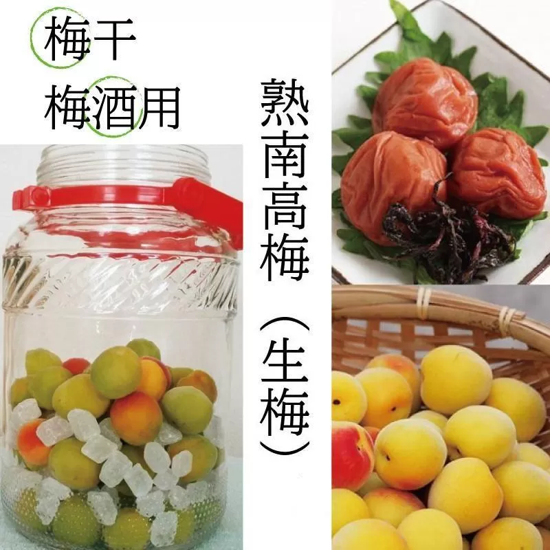 【梅干・梅酒用】（3Lまたは2L－10Kg）熟南高梅＜2025年6月上旬～7月7日発送予定＞フルーツ 果物 くだもの 食品 人気 おすすめ 送料無料【ART05】