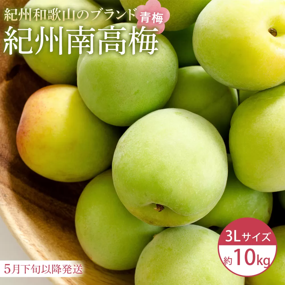 【2026年5月下旬以降発送】紀州南高梅(青梅) 10kg〈大粒/3Lサイズ〉