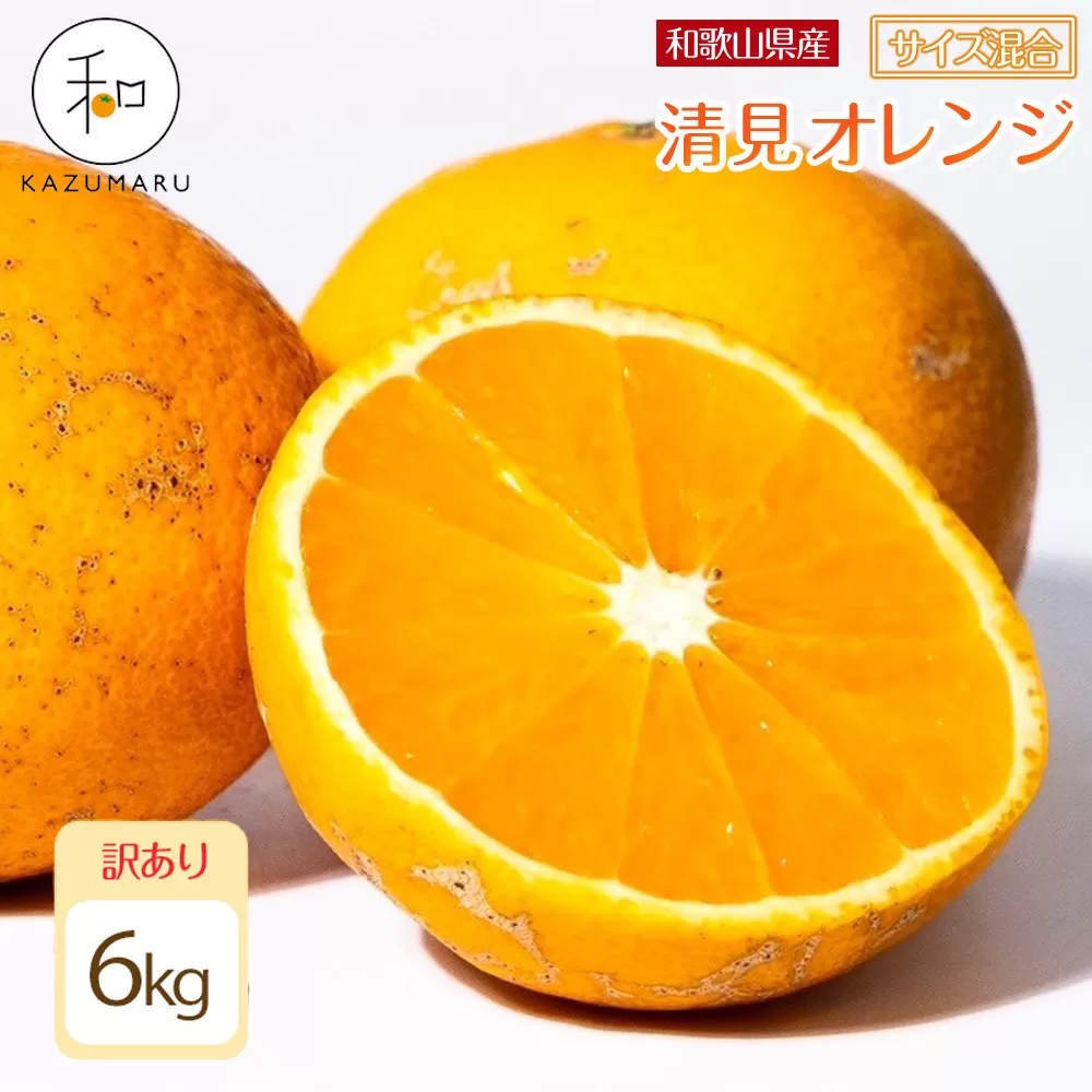 訳あり 森本農園の手選別 清見オレンジ 6kg 和歌山県産 サイズ混合 ［北海道・沖縄・離島配送不可］［RN24］［2026年2月上旬から5月中旬頃順次発送予定］