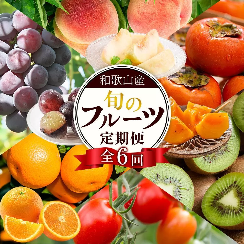 和歌山の旬の果実を 奇数月にお届け全6回定期便（キウイ・清見オレンジ・ミニトマト・桃・ピオーネ・富有柿）【TM62】