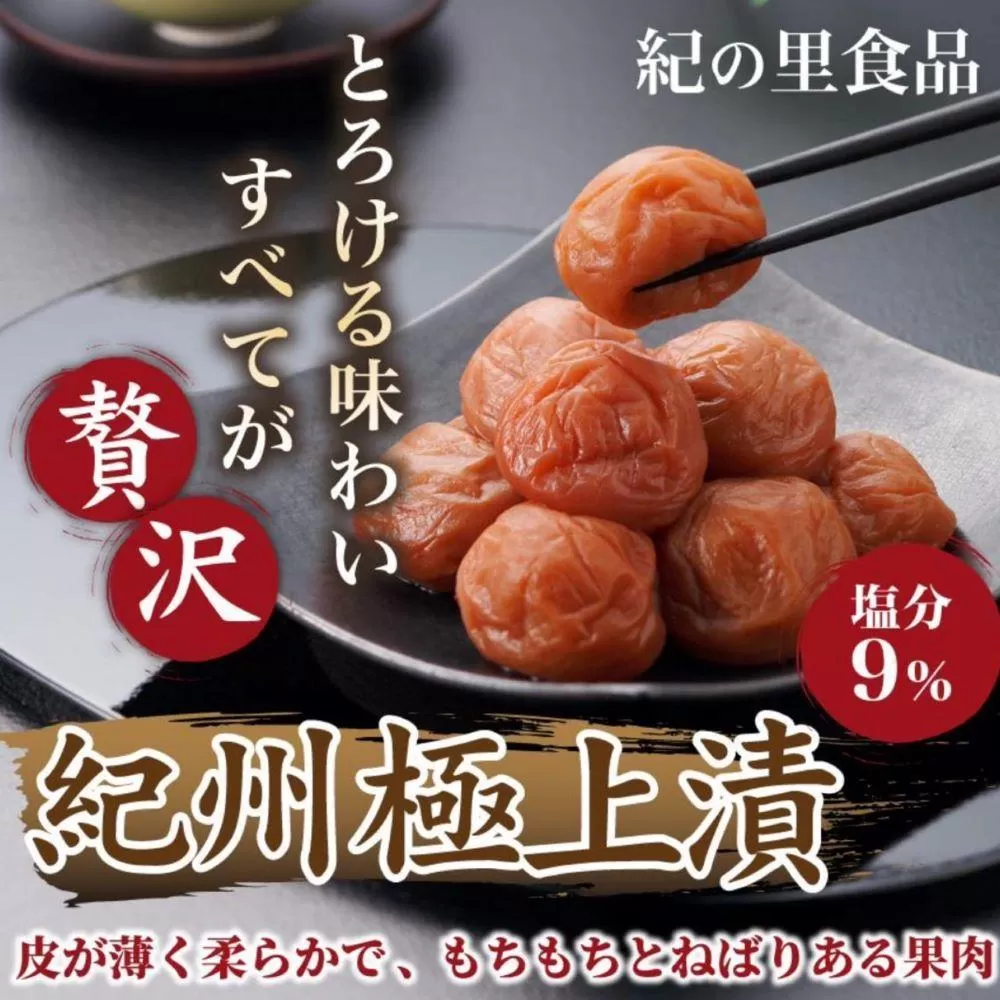 紀州極上漬　500g