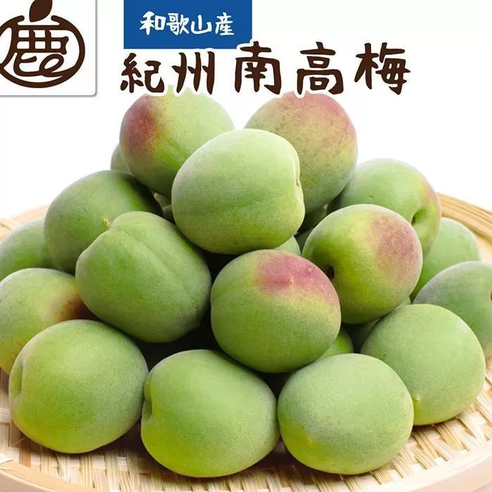 厳選 紀州南高梅(青梅)1kg+250g（傷み補償分）【梅干し・梅酒・梅ジュース】［IKE216］