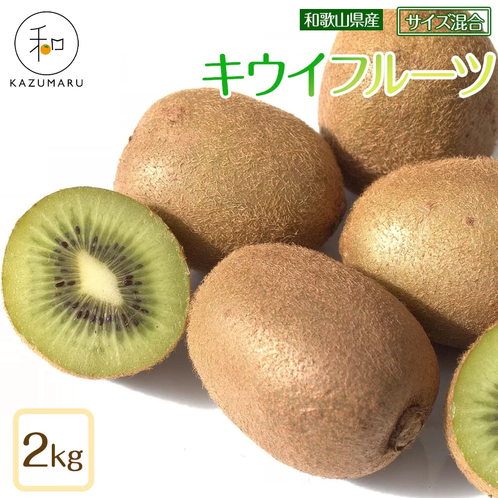 森本農園の キウイフルーツ 約2kg 和歌山県産 サイズ混合 ［北海道・沖縄・離島配送不可］［2026年2月上旬から順次発送］［RN125］