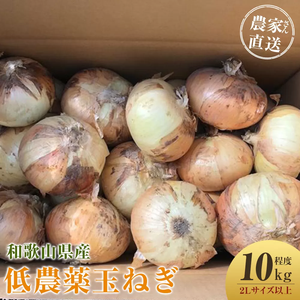 ［2026年発送分・先行予約］農家さん直送 低農薬玉ねぎ 2Lサイズ以上 10kg程度［4月中旬〜7月中旬頃発送予定］［KF15］