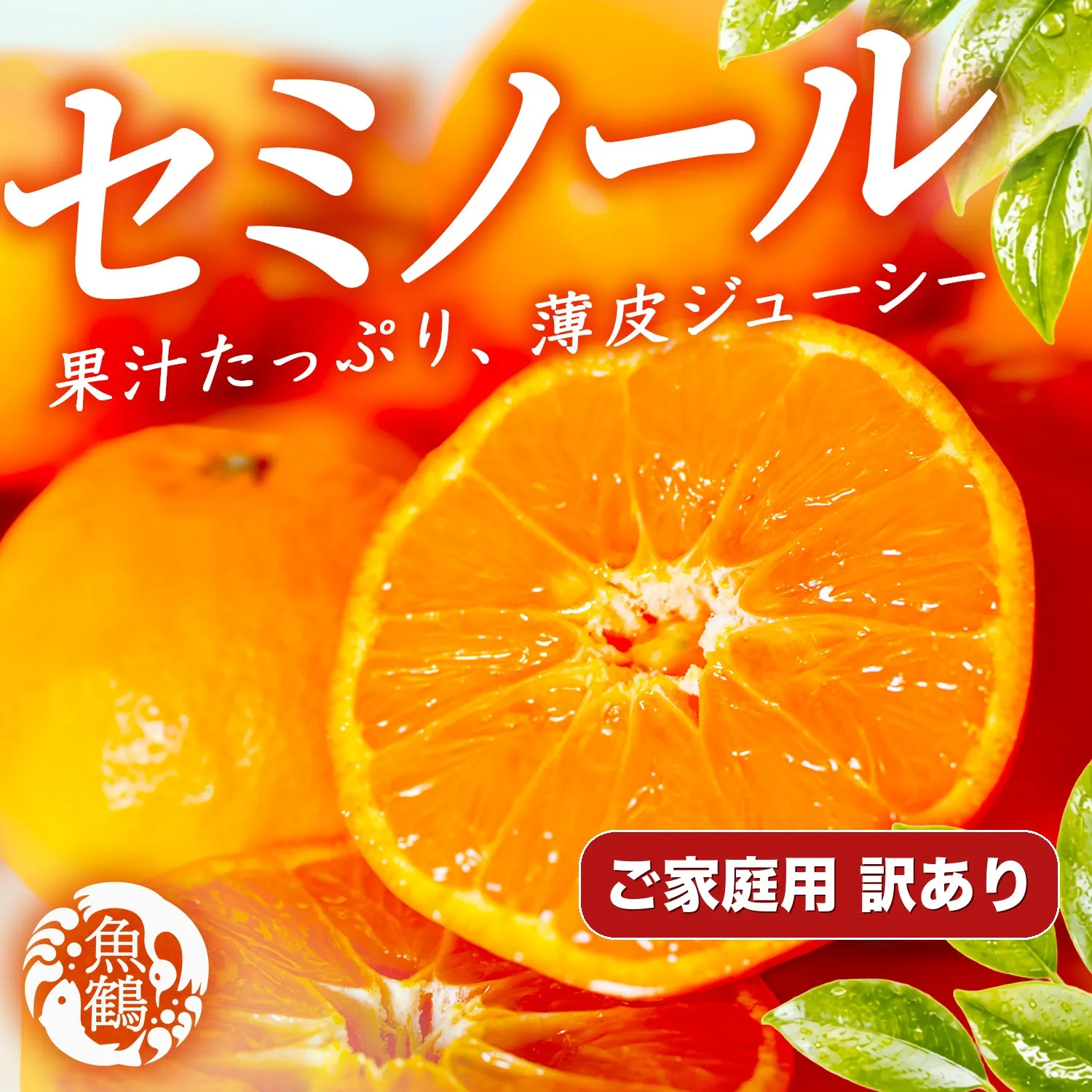 ［先行予約］［ご家庭用訳あり］ジューシー柑橘 セミノールオレンジ 5kg［UT150］