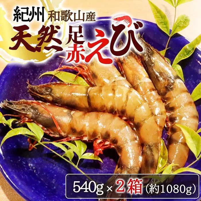 紀州和歌山産天然足赤えび540g×2箱（270g×4パック）　化粧箱入【2024年11月上旬頃〜2025年2月上旬頃に順次発送】【UT24】