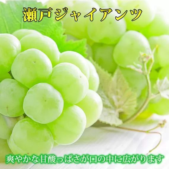 紀州かつらぎ山の瀬戸ジャイアンツ 約2kg［2026年8月下旬以降発送予定］［UT30］