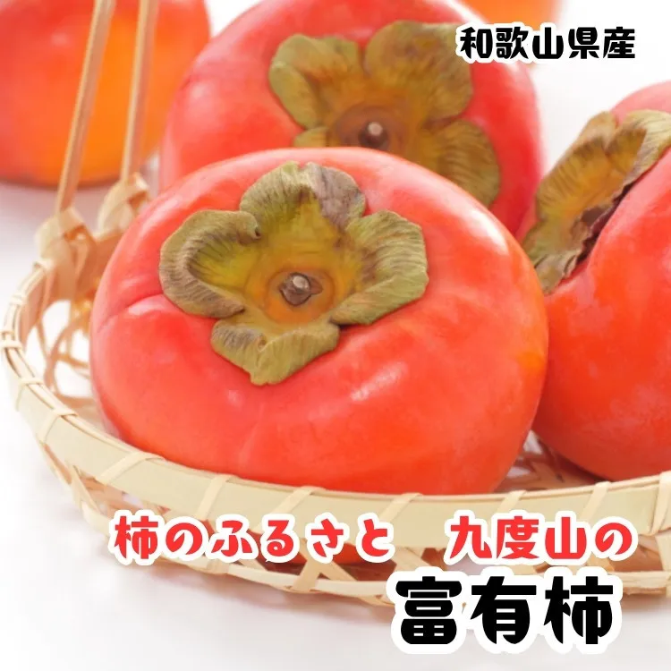 ［秋の美味］［九度山ブランド］柿のふるさと九度山の濃厚 富有柿 秀品 24～32玉(約7.5kg入り)　3L～Lサイズ（いずれか） ［MS152］