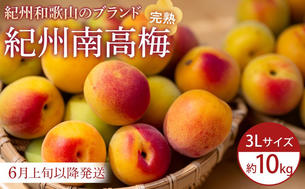 e，向日葵さま専用※【農家直送】和歌山県産 南高梅（完熟）約6㎏