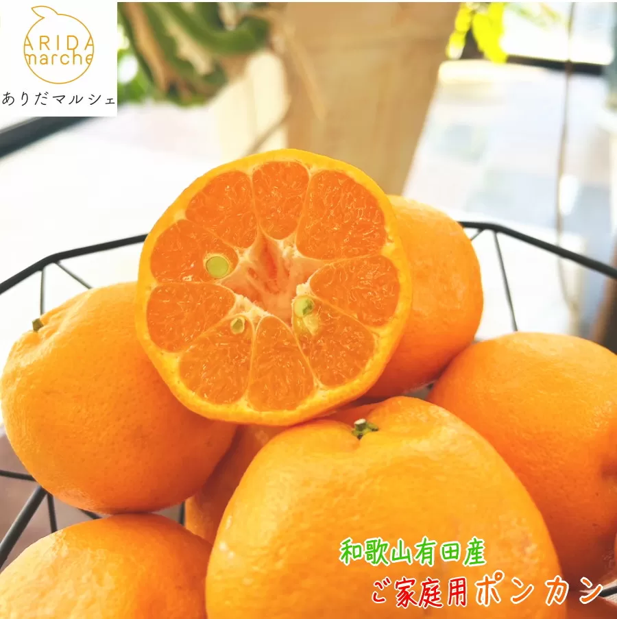 有田育ちの 完熟 ポンカン（ご家庭用）約10kg［先行予約］［MS47］