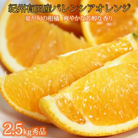 秀品 希少な国産バレンシアオレンジ 2.5kg［2026年6月下旬頃〜2026年7月上旬頃に順次発送］［UT75］