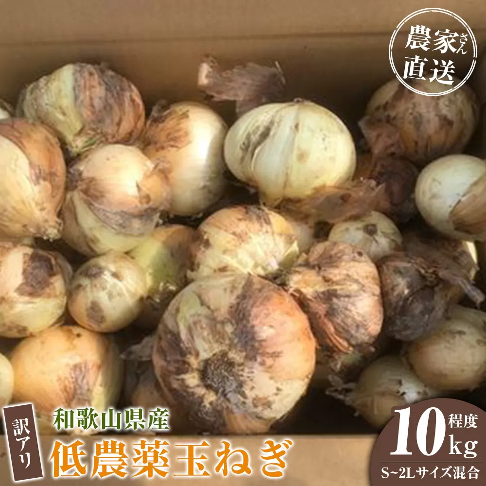 ［2026年発送分・先行予約］訳あり 農家さん直送 低農薬玉ねぎ 10kg程度 S〜2L混合［4月中旬〜7月中旬頃発送予定］ご家庭用 ※傷有り［KF14］