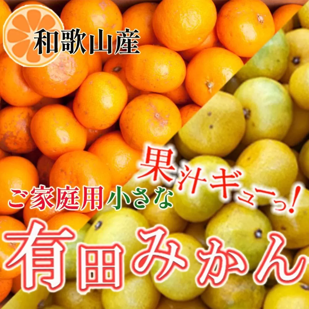 家庭用 小さな有田みかん2.5kg+250g（傷み補償分）［2025年10月上旬から2026年1月下旬頃順次発送予定］［IKE246］