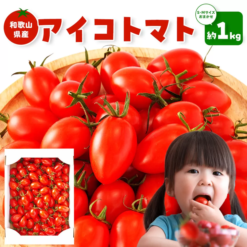 ［2026年6月出荷分］和歌山産ミニトマト「アイコトマト」約1kg（S・Mサイズおまかせ）［TM233］