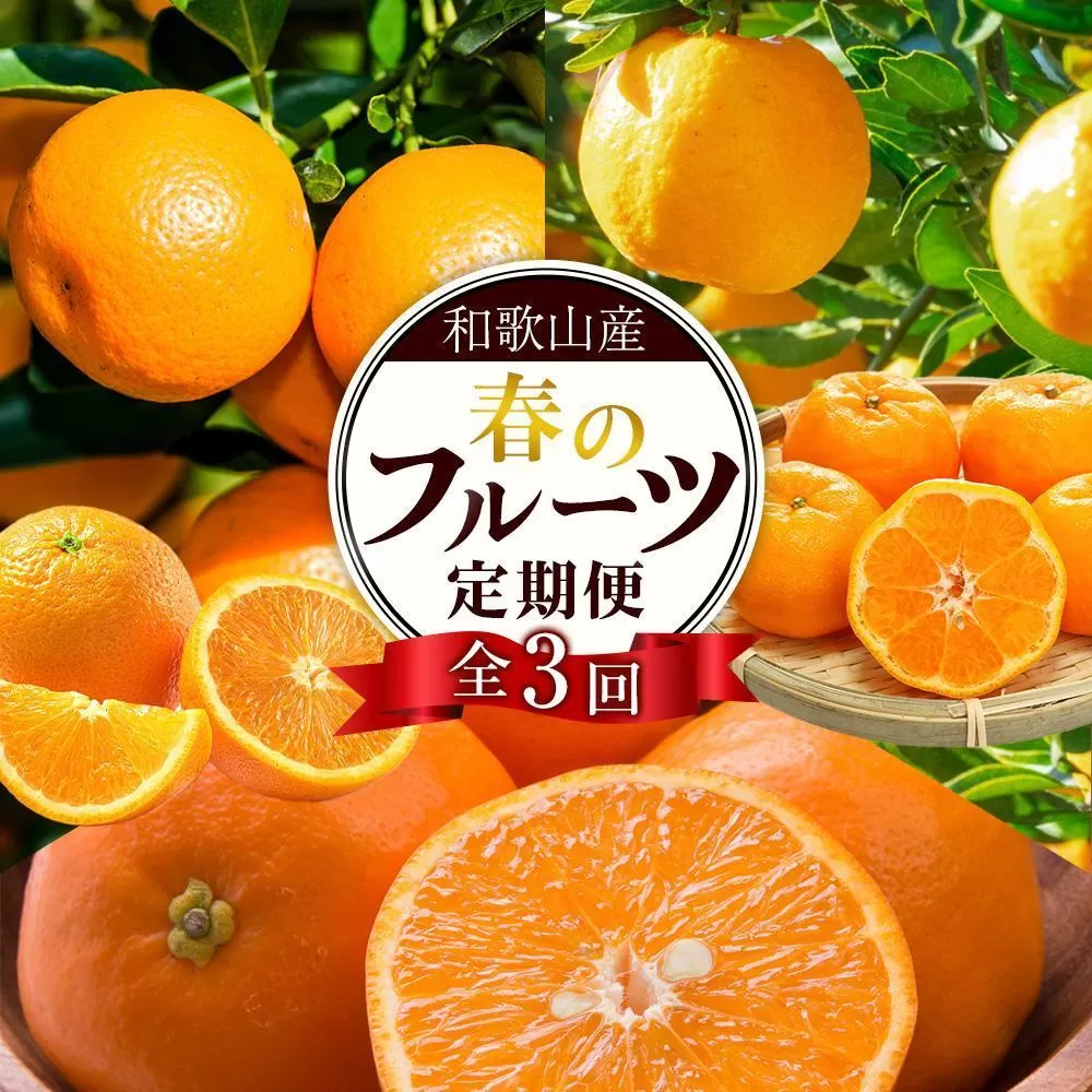 和歌山の春のフルーツ（ポンカン・清見オレンジ・セミノールオレンジ）定期便 全3回 【2月・3月・4月発送】【TM184】