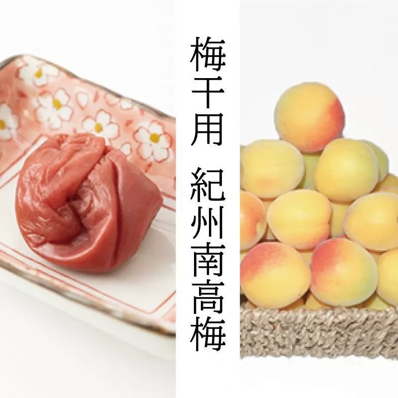 【梅干・梅酒用】（2LまたはL－10Kg）熟南高梅＜2025年6月上旬～7月7日発送予定＞フルーツ 果物 くだもの 食品 人気 おすすめ 送料無料【ART03】