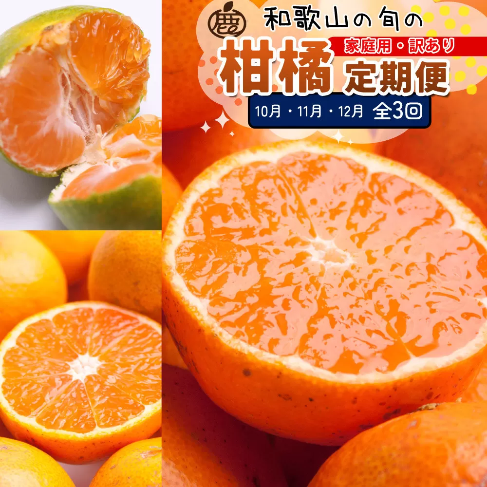 家庭用 柑橘定期便M（10〜12月）全3回 ［IKE313］